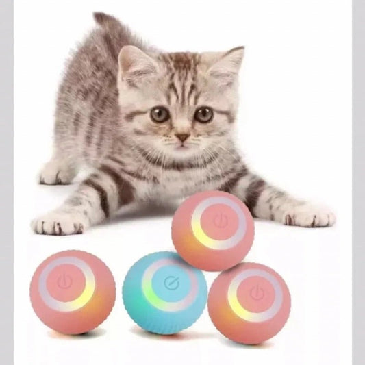 Pelota Inteligente Para Gatos Perros - Súper Sensación