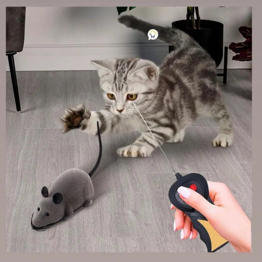 Raton Control Remoto - Súper Sensación